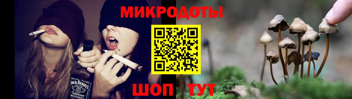 Псилоцибиновые грибы Psilocybe  Вход с VPN  Елабуга 